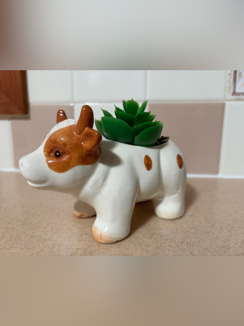 Cow Ceramic Planter with Green Succulent